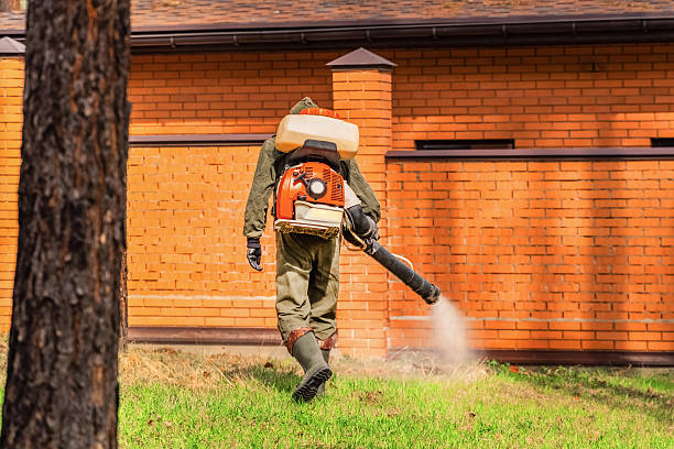 Trusted Bed Bug Control service in Upper Fruitland, NM - Nex Pest Control